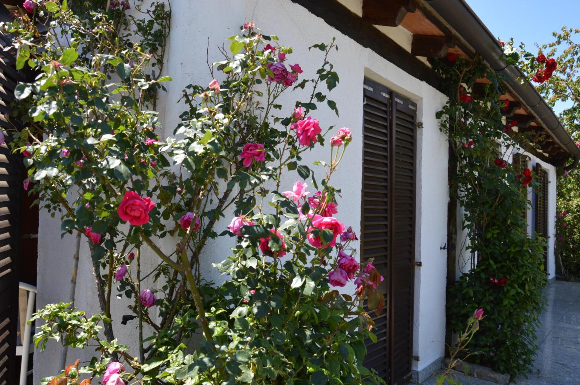 Residence Angiolina Nova Vas  Exterior foto